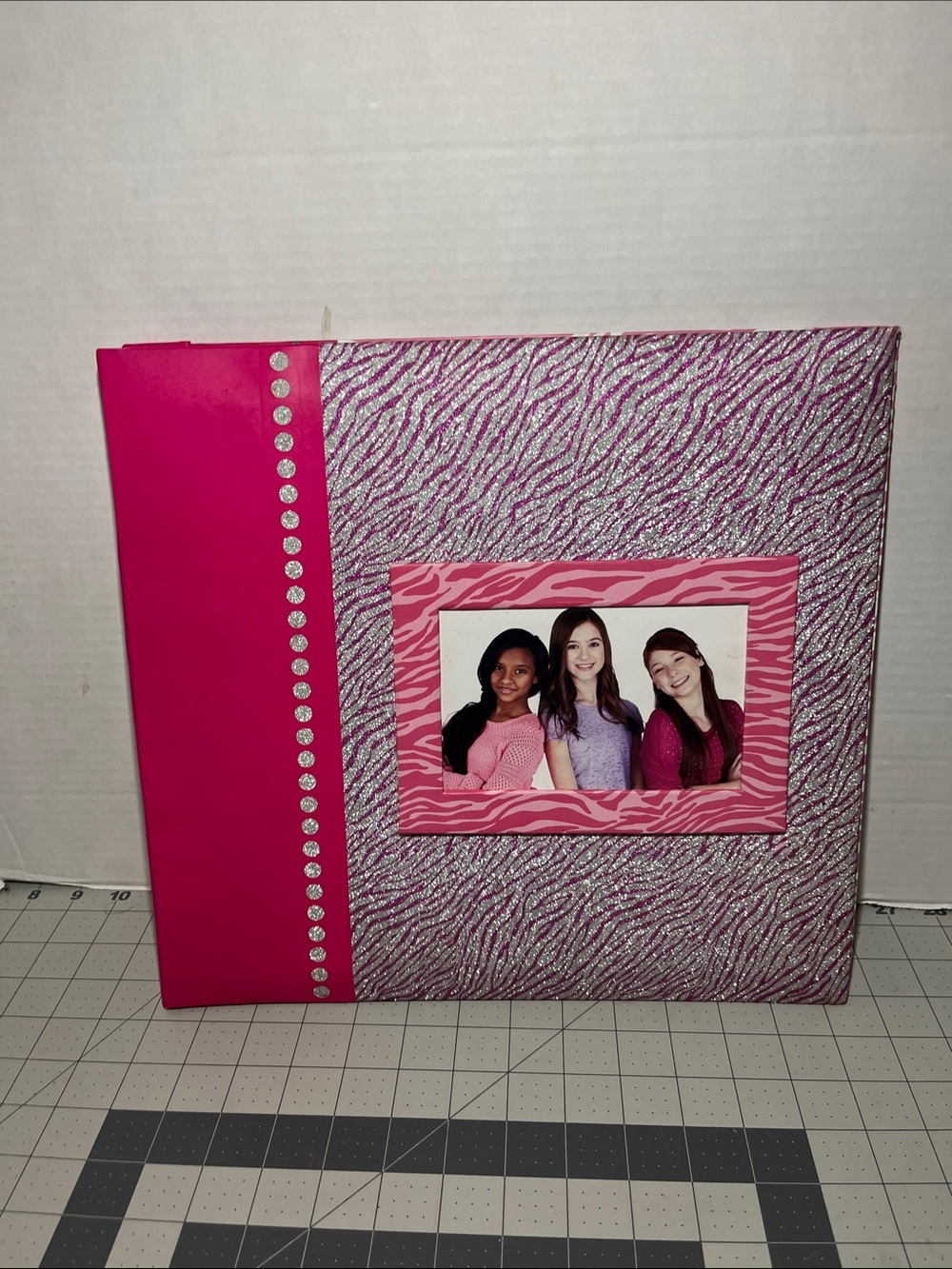 Hot Pink Zebra Print Photo Album with Gem Accent Frame